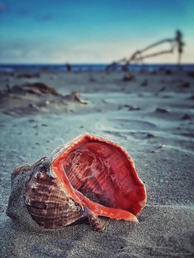 Năvodari Wave 2 Mamaia Prima Linie Vedere La Mare 120Mp מראה חיצוני תמונה